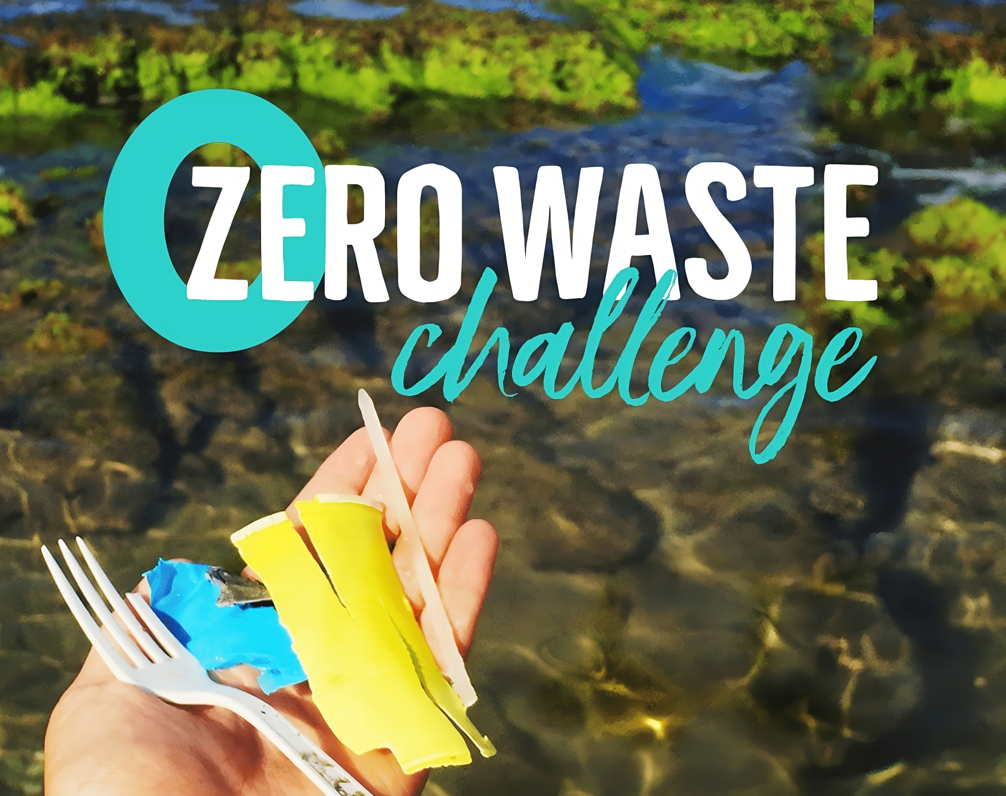 Zero Waste Challenge