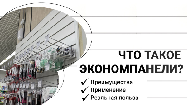 Чем являются экономпанели?